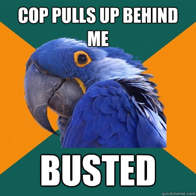 cop pulls up behind me busted  Paranoid Parrot
