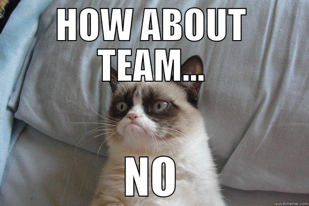 TEAM NO - HOW ABOUT TEAM... NO Grumpy Cat