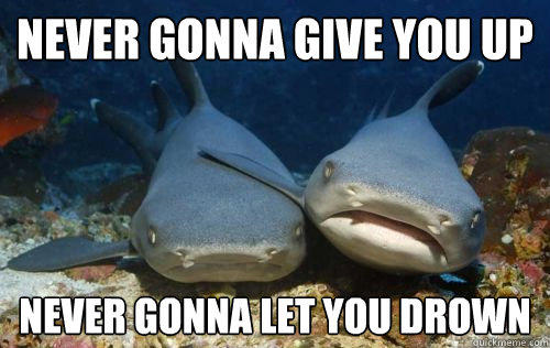 never gonna give you up never gonna let you drown  Compassionate Shark Friend