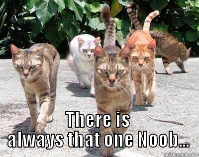  THERE IS ALWAYS THAT ONE NOOB... Misc