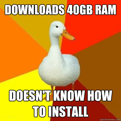 downloads 40gb ram doesn't know how to install  Tech Impaired Duck