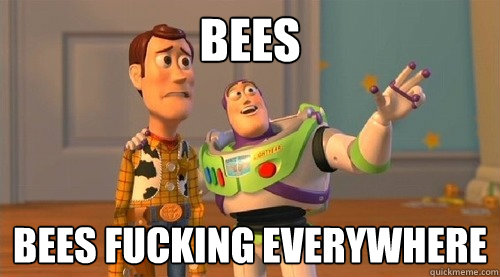 Bees bees fucking everywhere  Buzz Kill