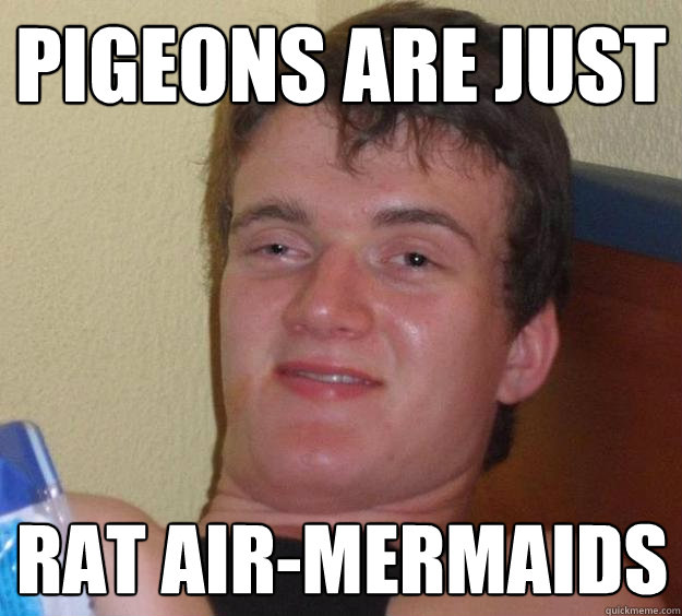 Pigeons are just Rat air-mermaids  10 Guy