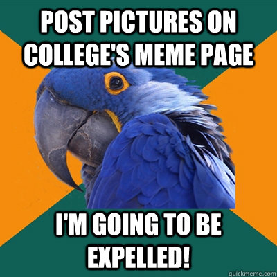 Post pictures on college's meme page I'm going to be expelled!  Paranoid Parrot