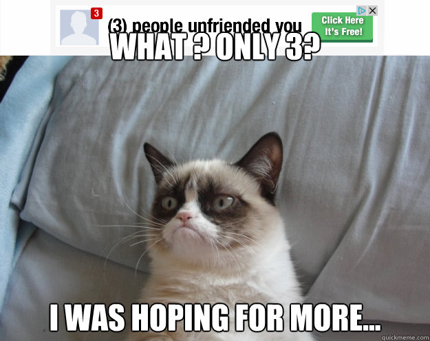 What ? only 3? i was hoping for more...  Grumpy Cat on Being Unfriended