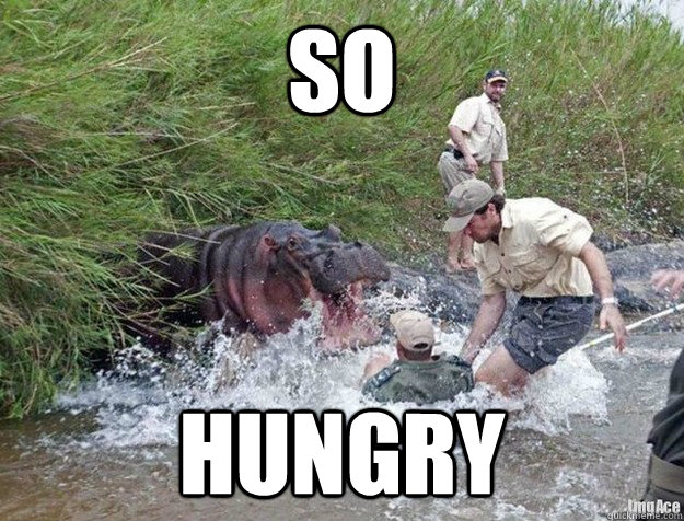 SO Hungry - SO Hungry  Hungry Hippo