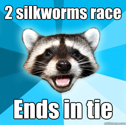 2 silkworms race Ends in tie  Lame Pun Coon