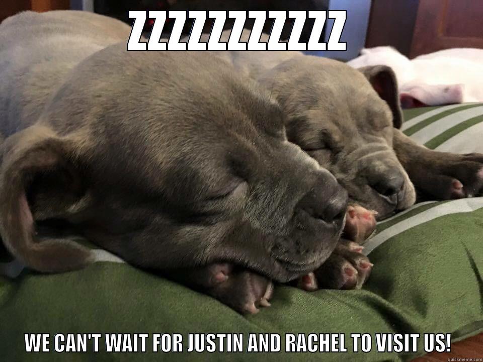 ZZZZZZZZZZZ WE CAN'T WAIT FOR JUSTIN AND RACHEL TO VISIT US!  Misc