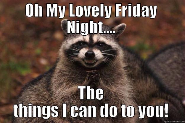 Oh, My Lovely Friday Night - OH MY LOVELY FRIDAY NIGHT.... THE THINGS I CAN DO TO YOU! Evil Plotting Raccoon