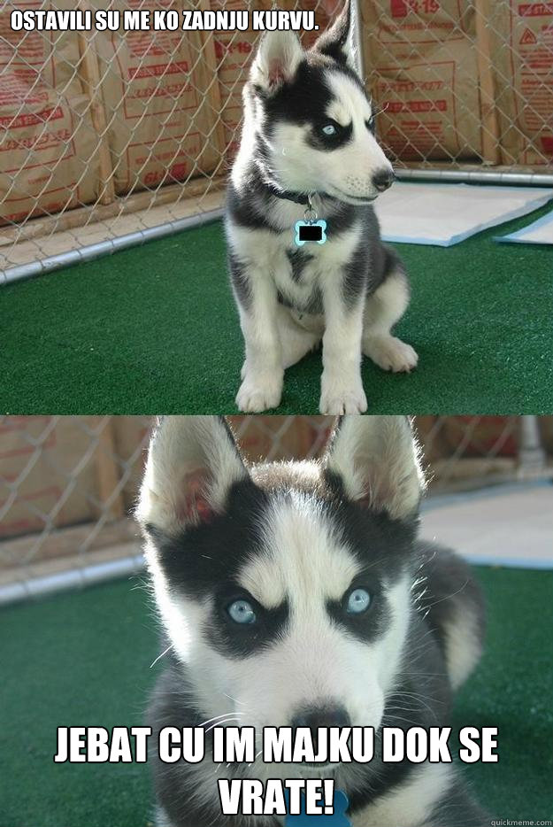 ostavili su me ko zadnju kurvu. jebat cu im majku dok se vrate!  Insanity puppy