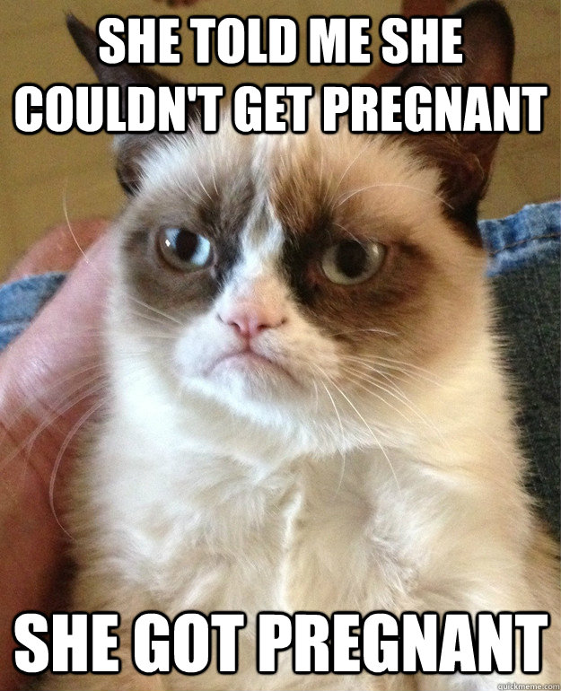 She told me she couldn't get pregnant she got pregnant  Grumpy Cat