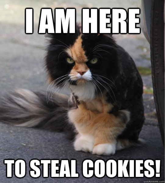 I am here to steal cookies! - I am here to steal cookies!  Evil Cat