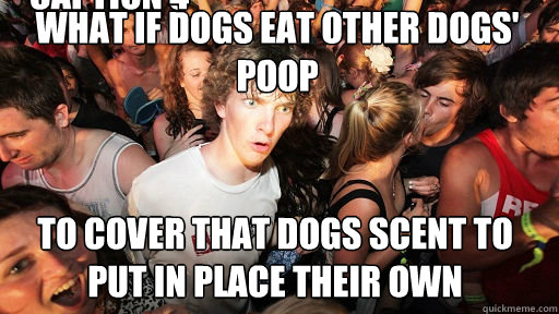 What if dogs eat other dogs' poop to cover that dogs scent to put in place their own Caption 3 goes here Caption 4 goes here  Sudden Clarity Clarence