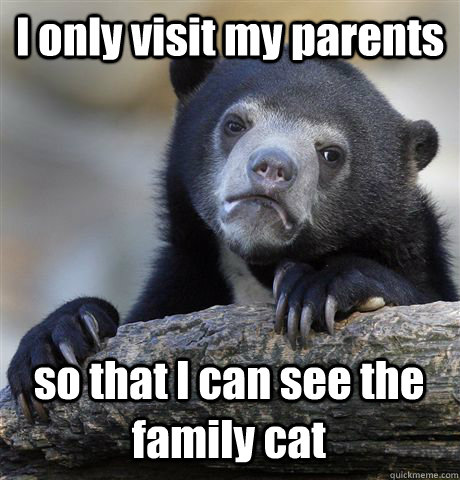 I only visit my parents so that I can see the family cat  Confession Bear