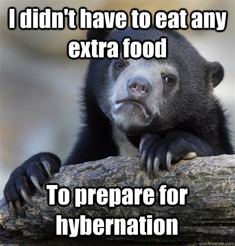 I didn't have to eat any extra food  To prepare for hybernation  Confession Bear