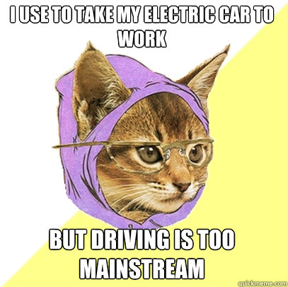 i use to take my electric car to work but driving is too mainstream  Hipster Kitty