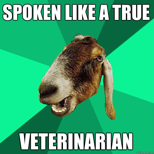 Spoken like a true Veterinarian  