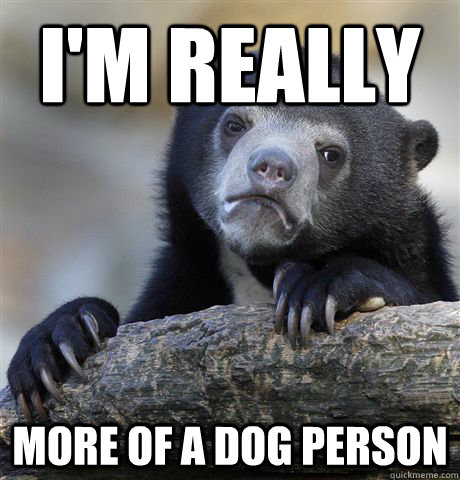 I'm really  More of a dog person  Confession Bear