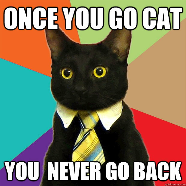 Once you go cat you  never go back - Once you go cat you  never go back  Business Cat