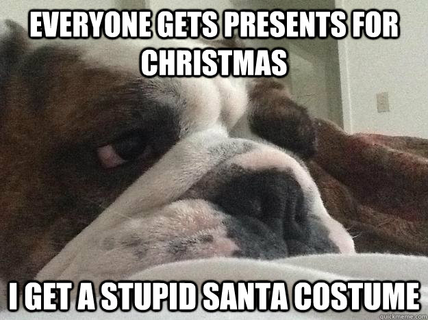 everyone gets presents for christmas i get a stupid santa costume  First World Dog problems