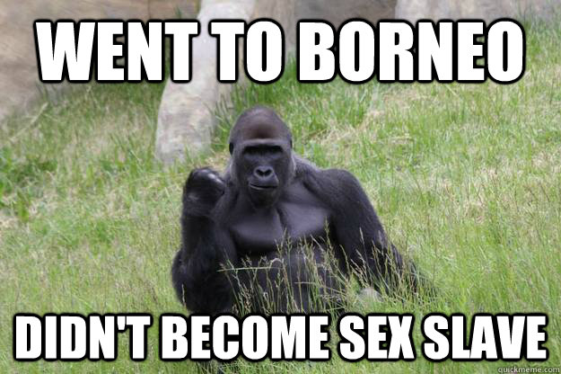 Went to Borneo didn't become sex slave - Went to Borneo didn't become sex slave  Success Gorilla