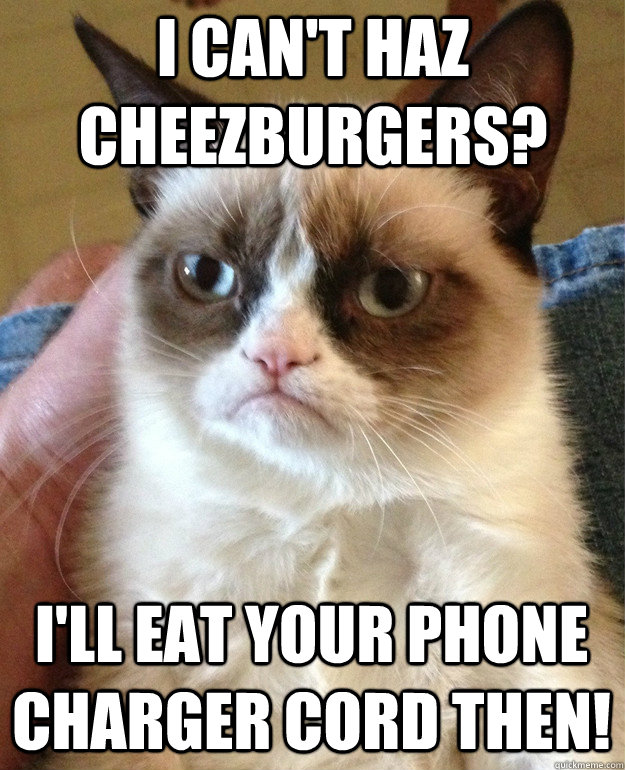 I can't haz cheezburgers? I'll eat your phone charger cord then!  Grumpy Cat