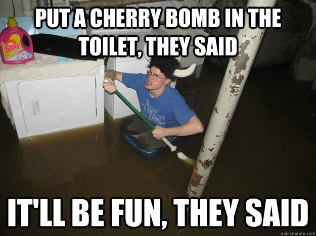 PUT A CHERRY BOMB IN THE TOILET, THEY SAID IT'LL BE FUN, THEY SAID  Laundry Room Viking