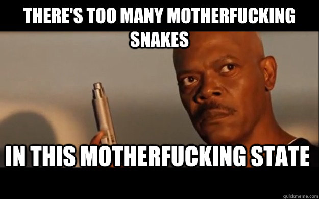 There's too many motherfucking snakes in this motherfucking state - There's too many motherfucking snakes in this motherfucking state  Misc