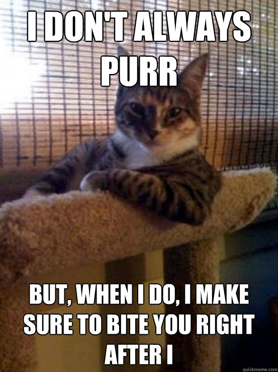 i don't always purr But, when I do, I make sure to bite you right after i  The Most Interesting Cat in the World