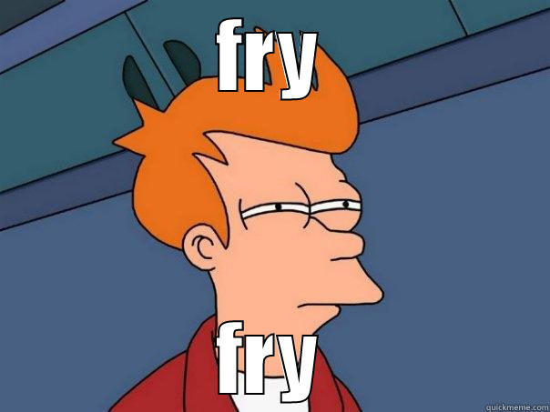 FRY FRY Futurama Fry