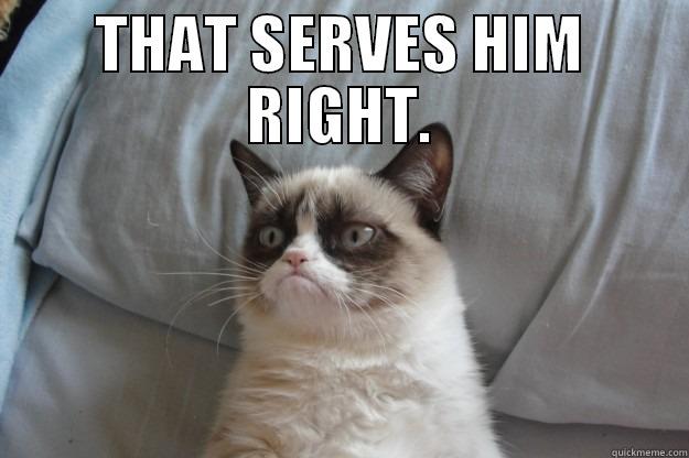 THAT SERVES HIM RIGHT.  Grumpy Cat