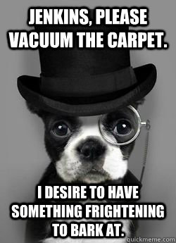 Jenkins, please vacuum the carpet. I desire to have something frightening to bark at.  