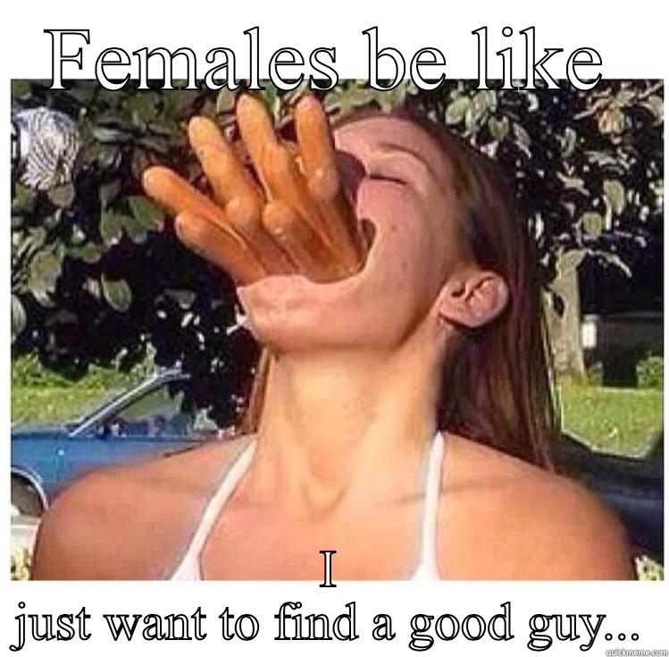 Hotdog Face - FEMALES BE LIKE I JUST WANT TO FIND A GOOD GUY... Misc
