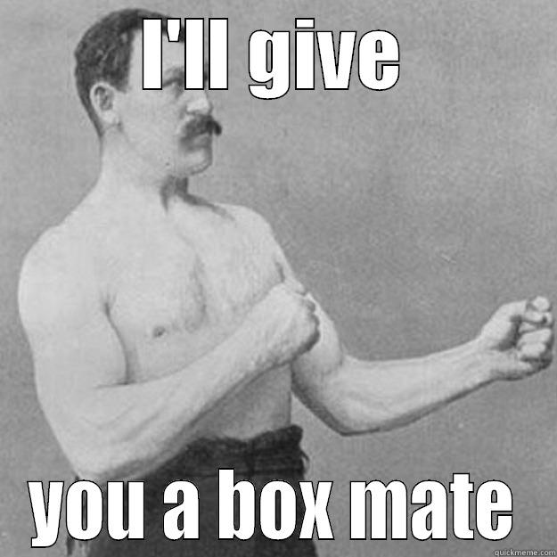 I'LL GIVE YOU A BOX MATE overly manly man