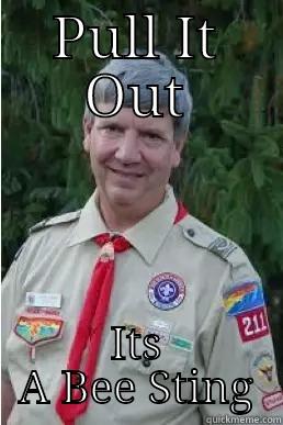 PULL IT OUT ITS A BEE STING Harmless Scout Leader