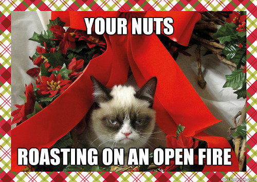 your nuts roasting on an open fire  merry christmas