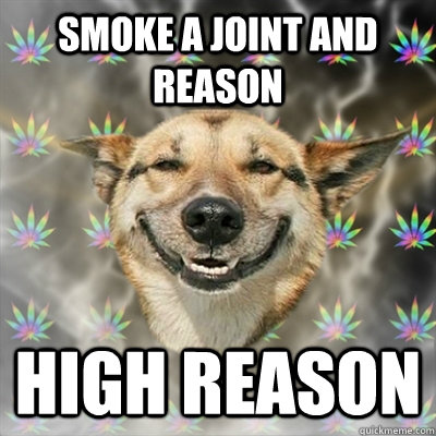 smoke a joint and reason High Reason  Stoner Dog
