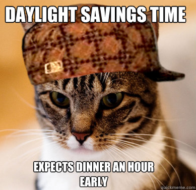 Daylight Savings Time Expects dinner an hour early  Scumbag Cat