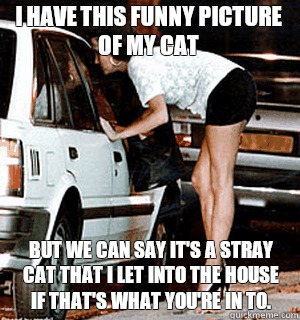 i have this funny picture of my cat But we can say it's a stray cat that i let into The house if that's what you're in to.  Karma Whore