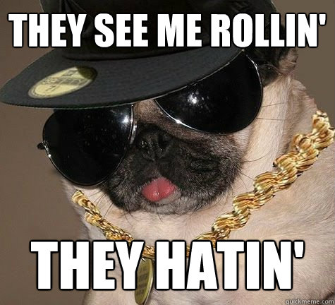 They see me Rollin' They hatin'  Gangster Pug