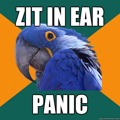 Zit in ear panic  Paranoid Parrot