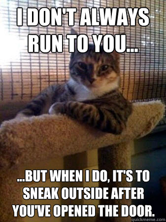 I don't always run to you... ...but when I do, it's to sneak outside after you've opened the door.  The Most Interesting Cat in the World