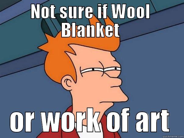 NOT SURE IF WOOL BLANKET OR WORK OF ART Futurama Fry