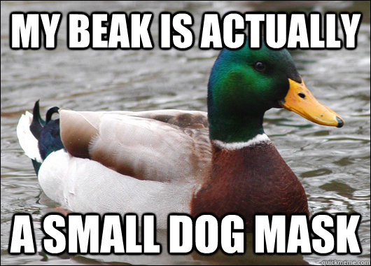 My beak is actually a small dog mask  Actual Advice Mallard