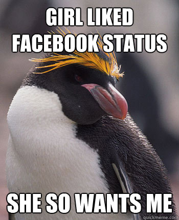 girl liked facebook status she so wants me  Socially Overconfident Penguin