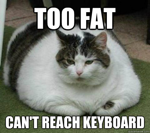 Too FAT Can't reach keyboard - Too FAT Can't reach keyboard  Fatcat