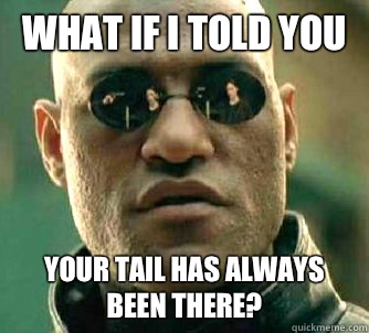 what if i told you Your tail has always been there?  Matrix Morpheus