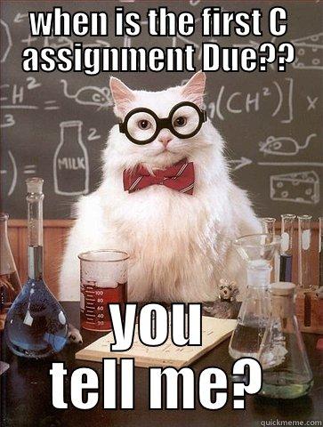 WHEN IS THE FIRST C ASSIGNMENT DUE?? YOU TELL ME? Chemistry Cat