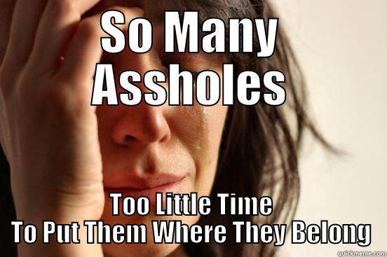 The Biggest Asshole - SO MANY ASSHOLES TOO LITTLE TIME TO PUT THEM WHERE THEY BELONG First World Problems