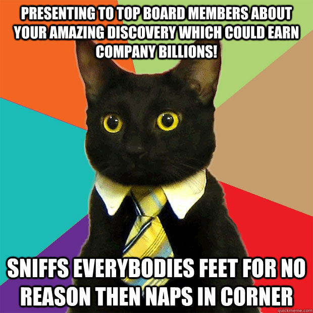 Presenting to top Board members about your amazing discovery which could earn company billions! Sniffs everybodies feet for no reason then naps in corner  Business Cat